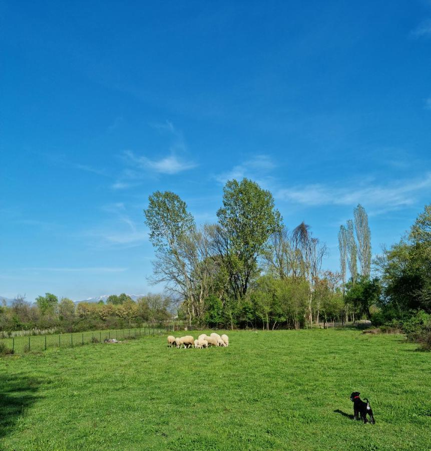Wolf & Sheep Nature & Adventure Podgorica Buitenkant foto