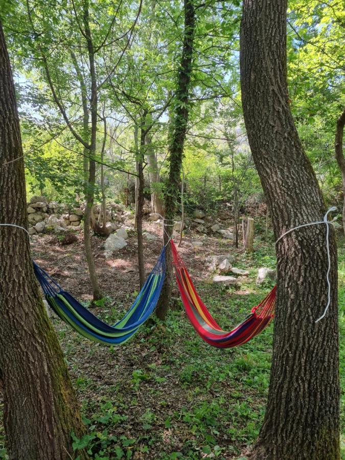 Wolf & Sheep Nature & Adventure Podgorica Buitenkant foto
