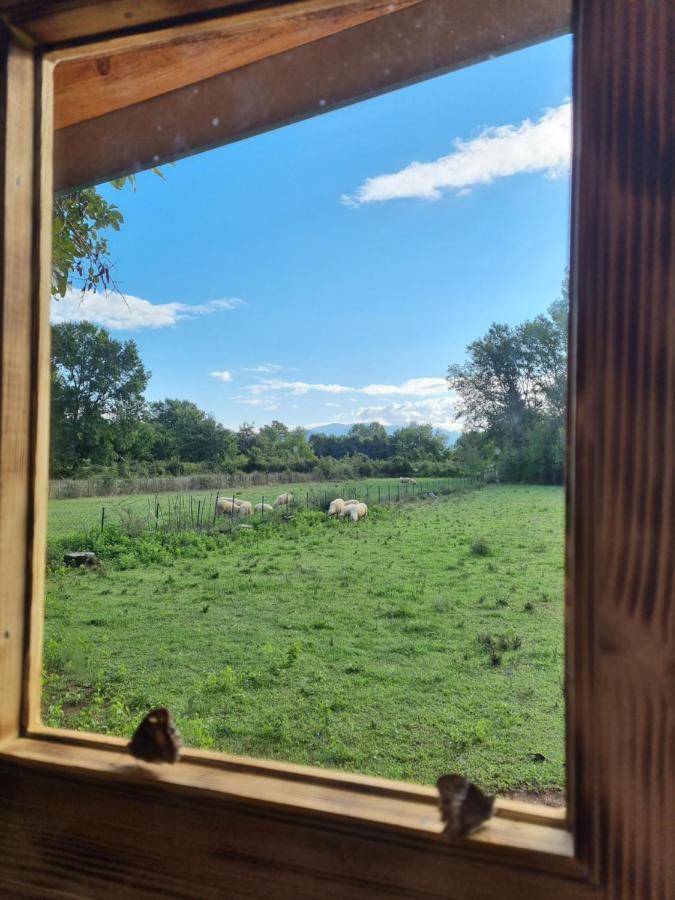 Wolf & Sheep Nature & Adventure Podgorica Buitenkant foto