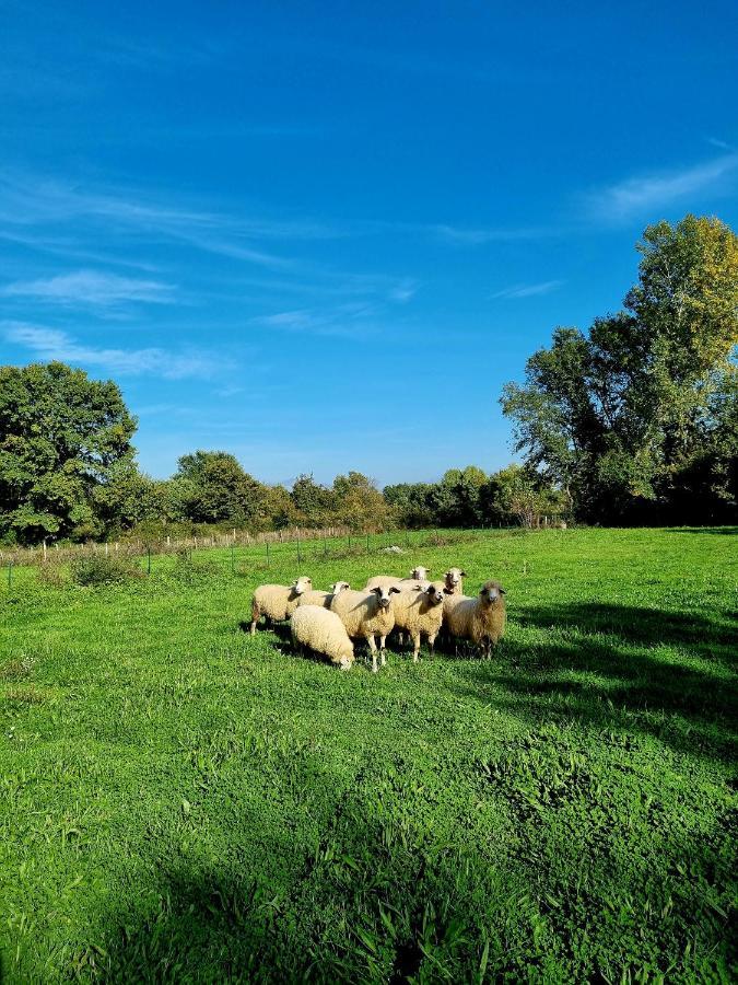 Wolf & Sheep Nature & Adventure Podgorica Buitenkant foto